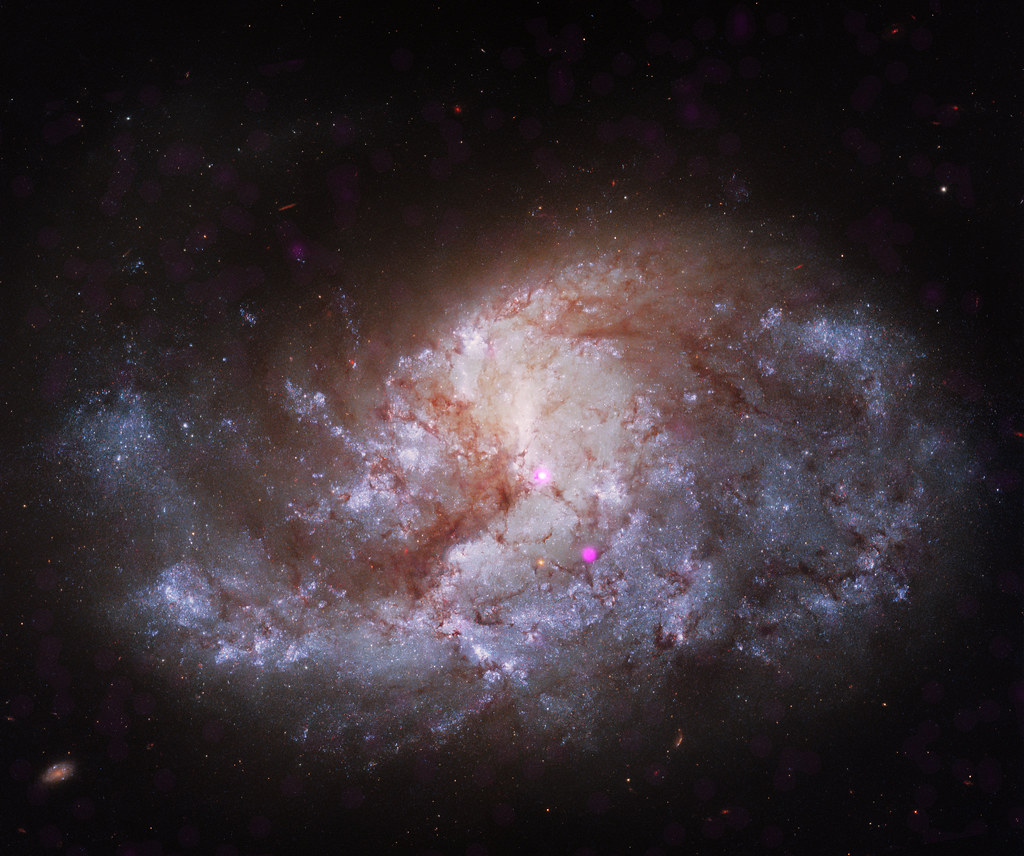 Chandra X-ray Image of NGC 1385